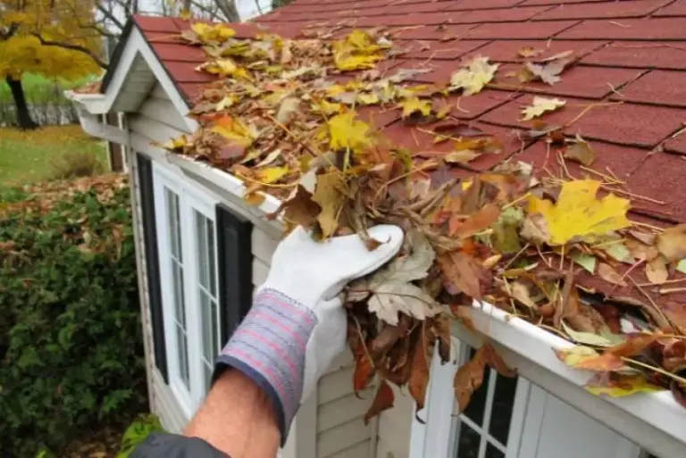 Autumn gutter cleaning