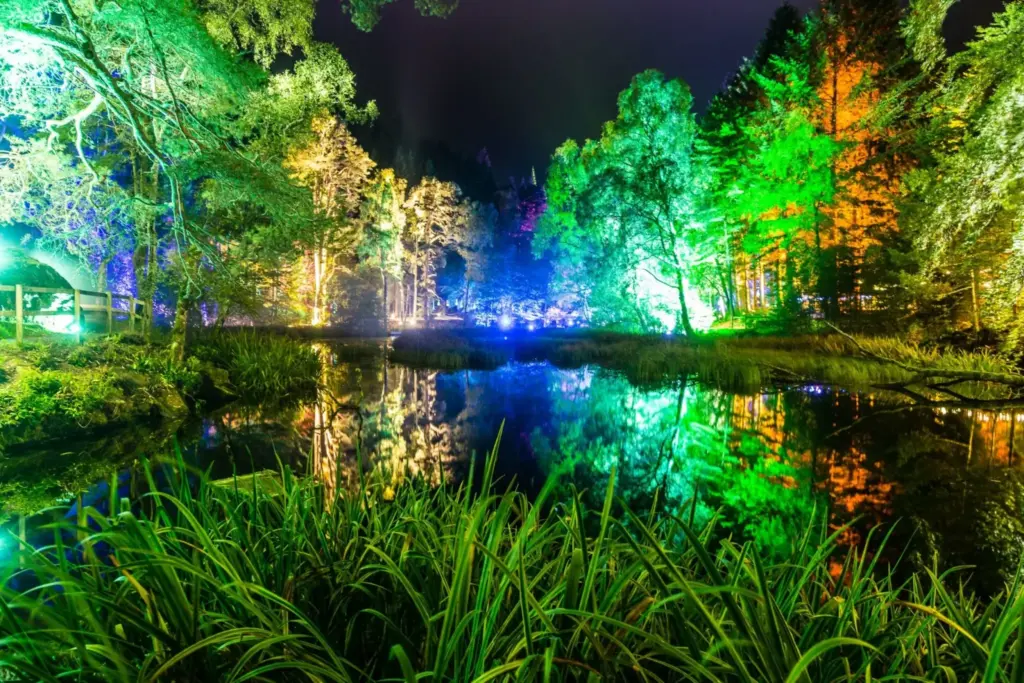 The Enchanted Forest, Pitlochry Scotland