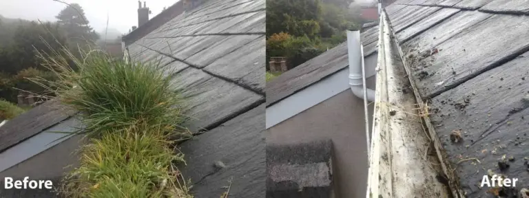 Gutter Cleaning UK