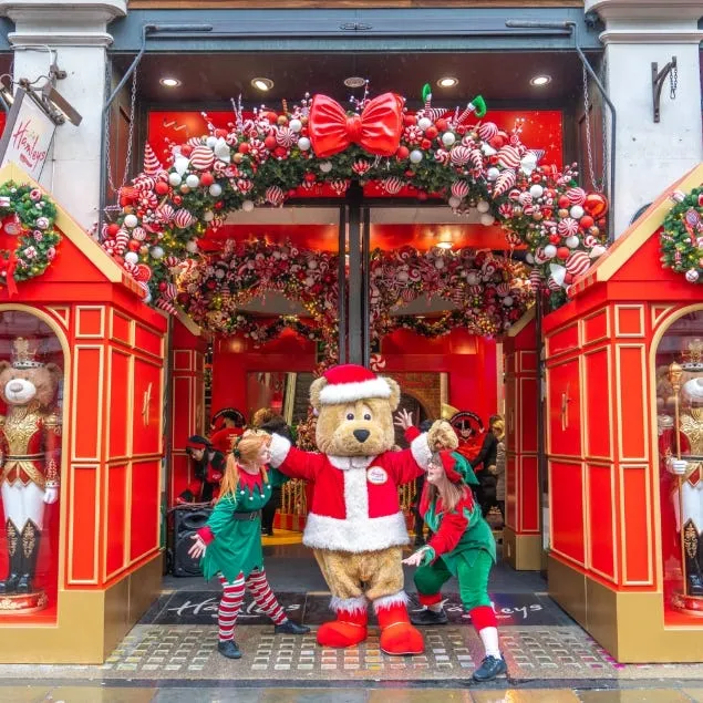 The Christmas Grotto at Hamleys