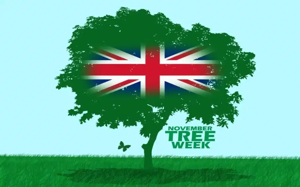 National Tree Week (November)